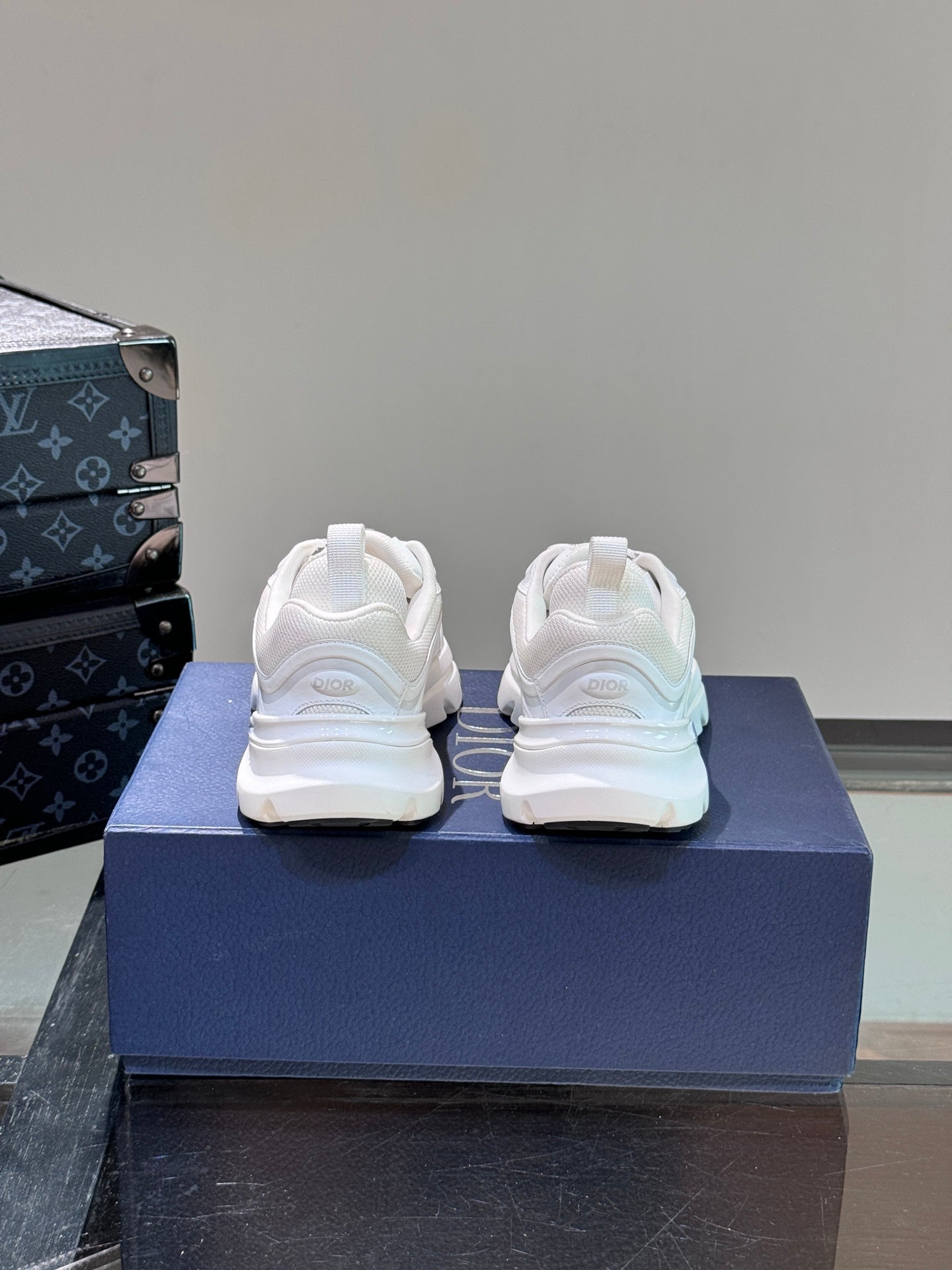 DIOR sneakers 146