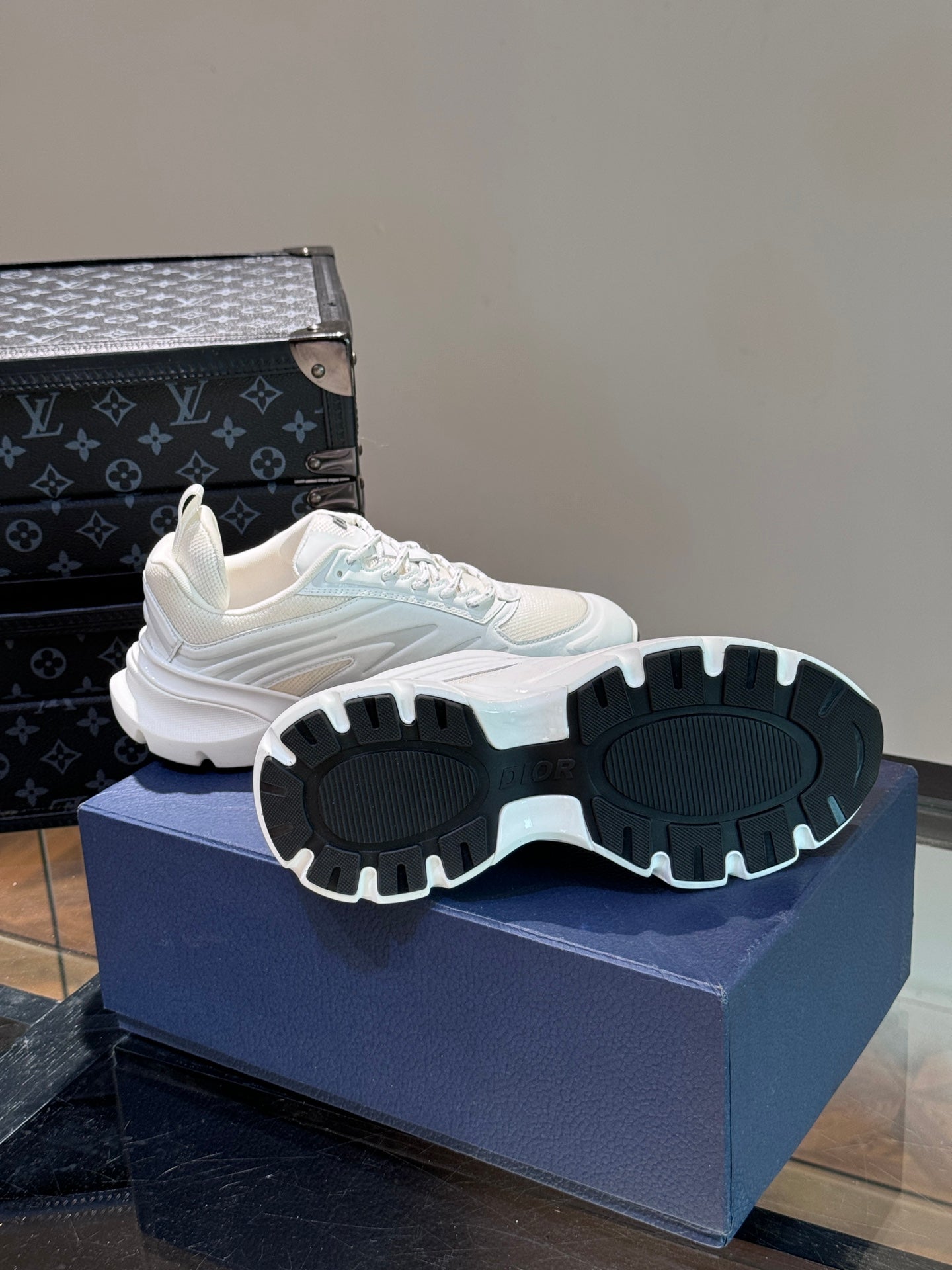 DIOR sneakers 146