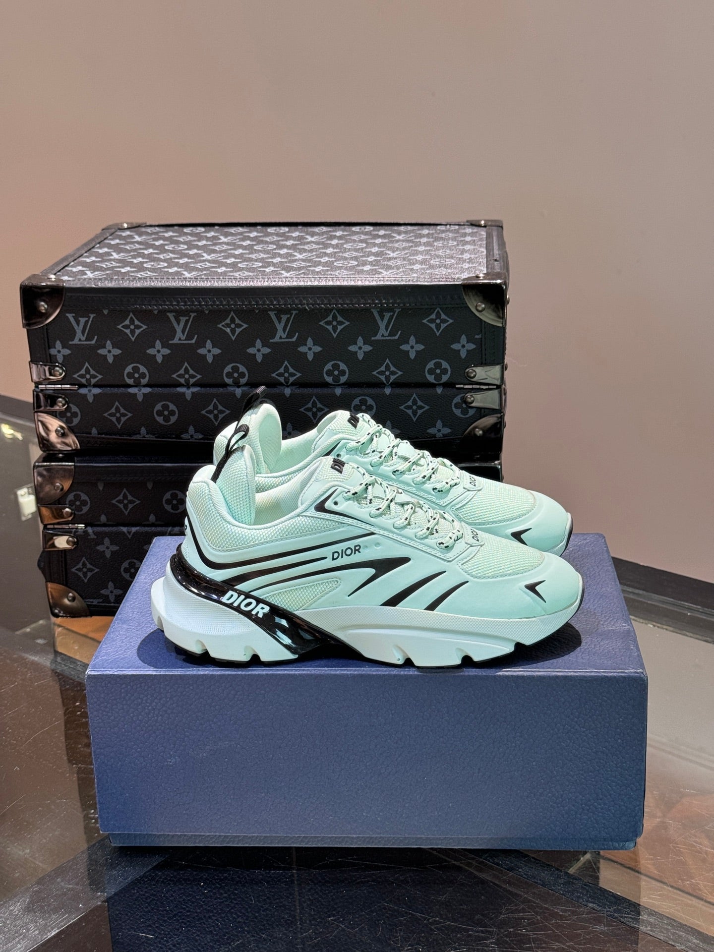 DIOR sneakers 147