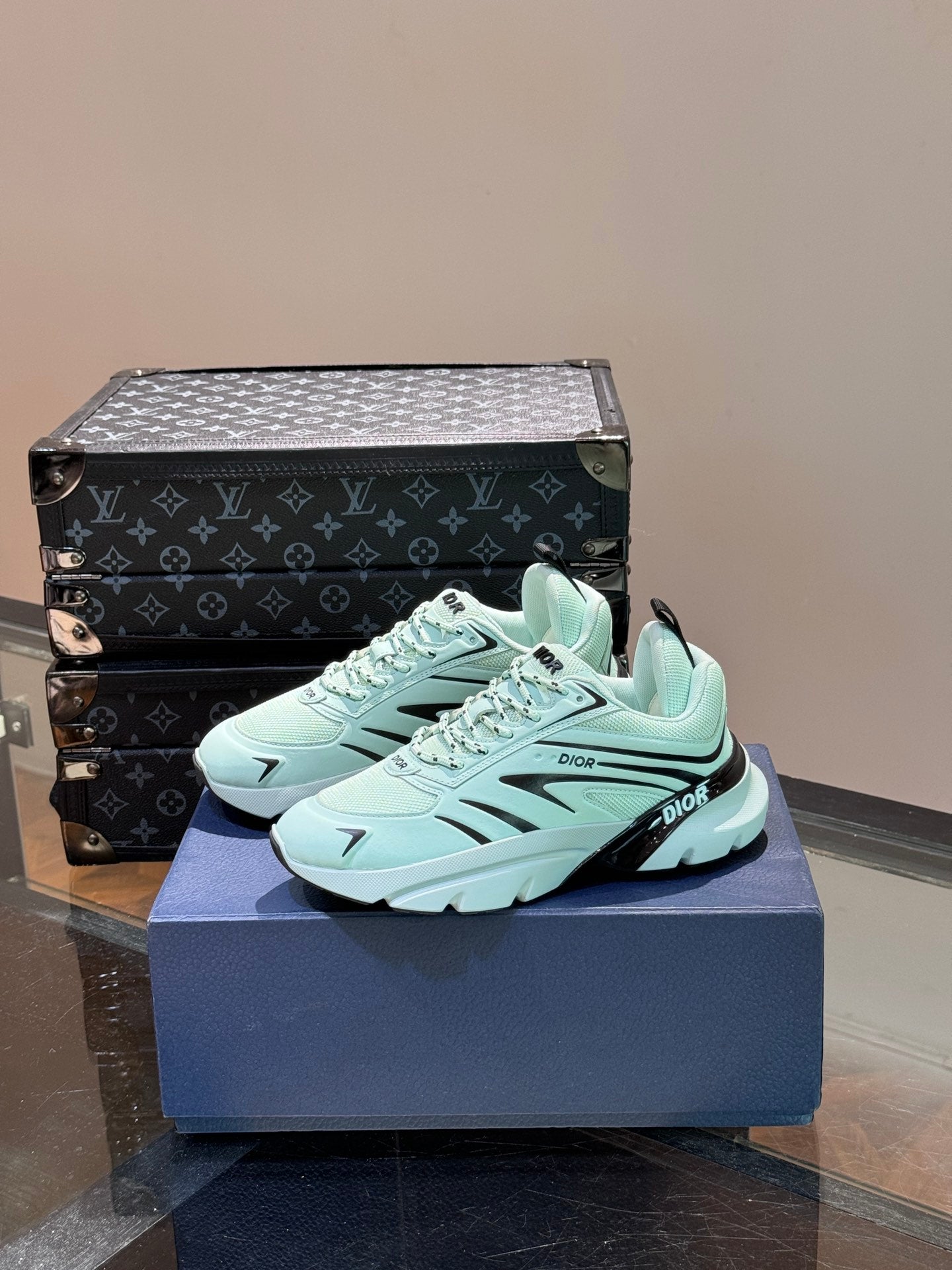 DIOR sneakers 147