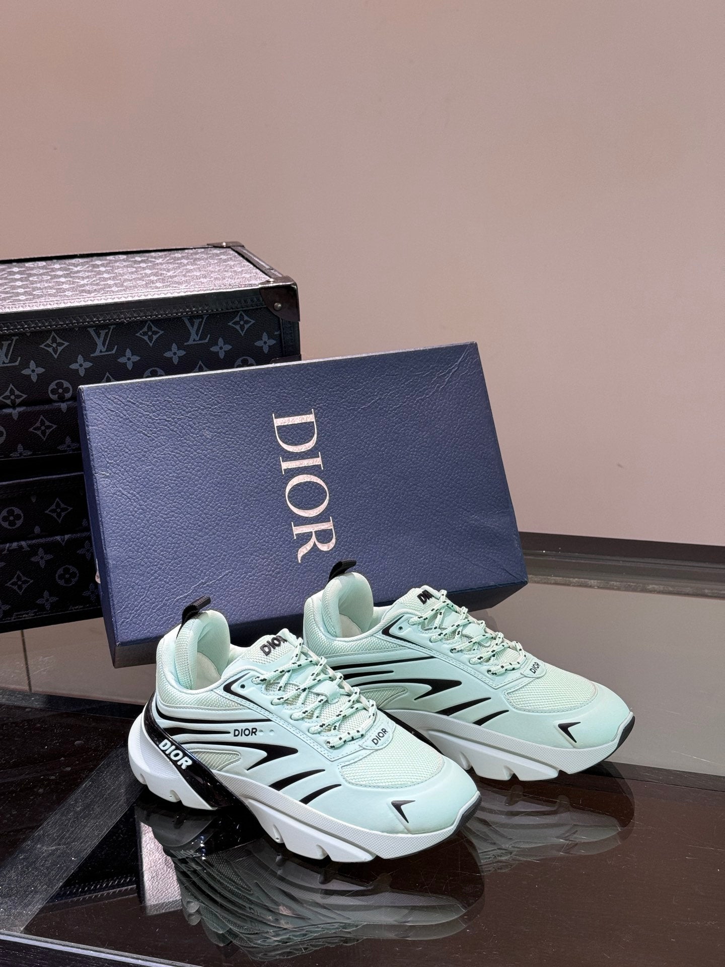 DIOR sneakers 147