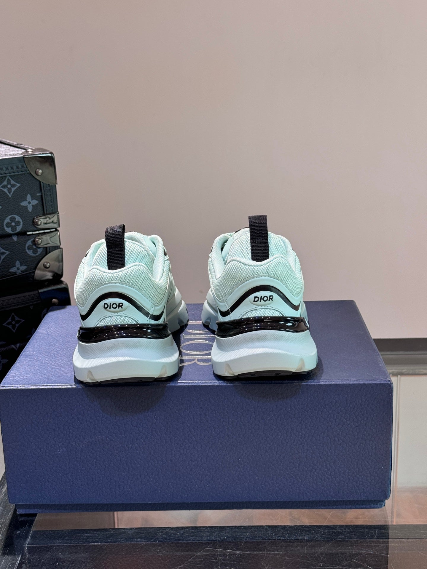 DIOR sneakers 147