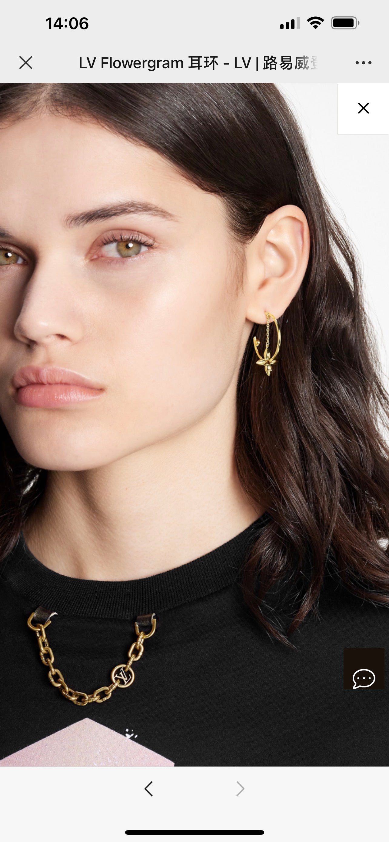 Louis Vuitton Luxury Earrings | Iconic Elegance & Boutique-Grade Quality 62