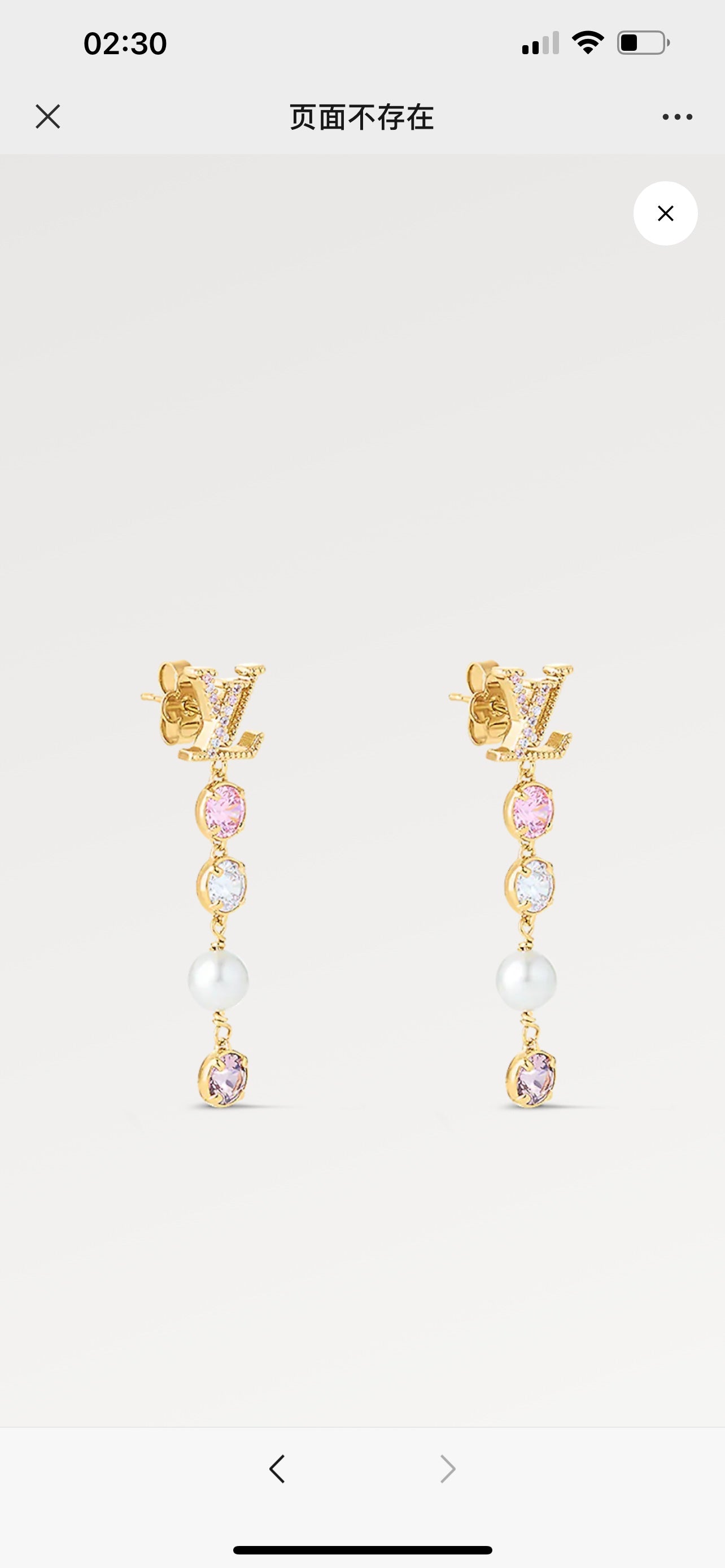 Louis Vuitton Luxury Earrings | Iconic Elegance & Boutique-Grade Quality 111
