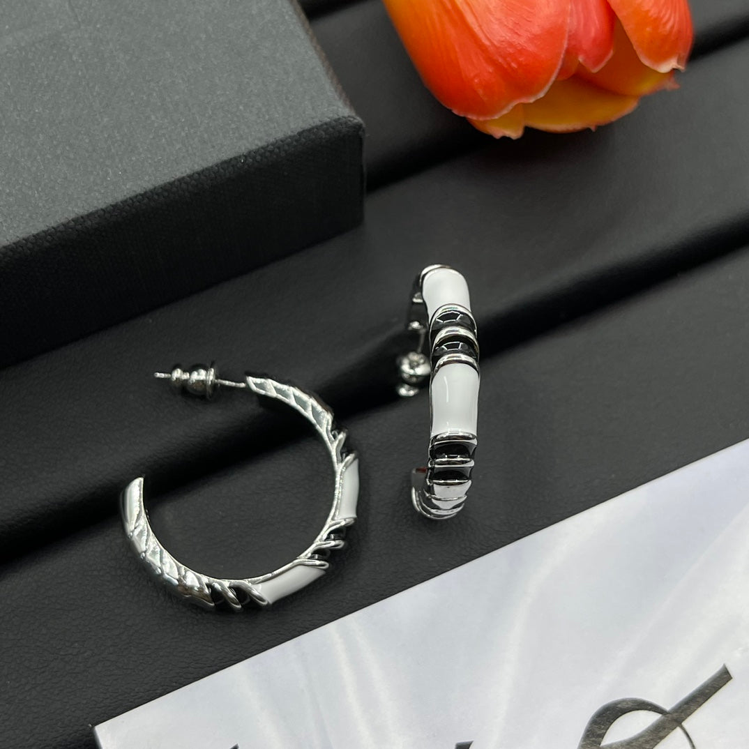 YSL Luxury Earrings | Timeless Elegance & Boutique-Grade Quality 17